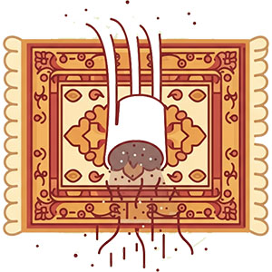 STEP 1: Deep Dust Removal for Oriental Rugs